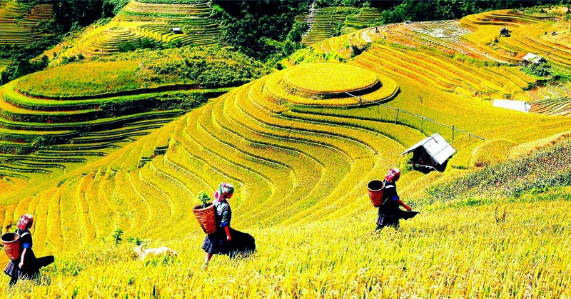 TOUR IN THE NORTH OF VIETNAM AND THE REGIONS IN HA GIANG